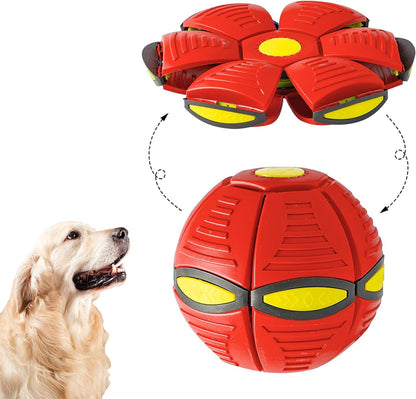 The Doggy Disc Ball