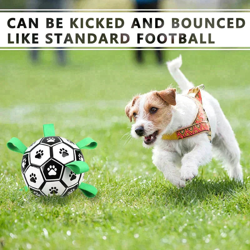 Dog Soccer Ball Dog Soccer Ball Dog Soccer Ball Dog Soccer Ball Dog So ...