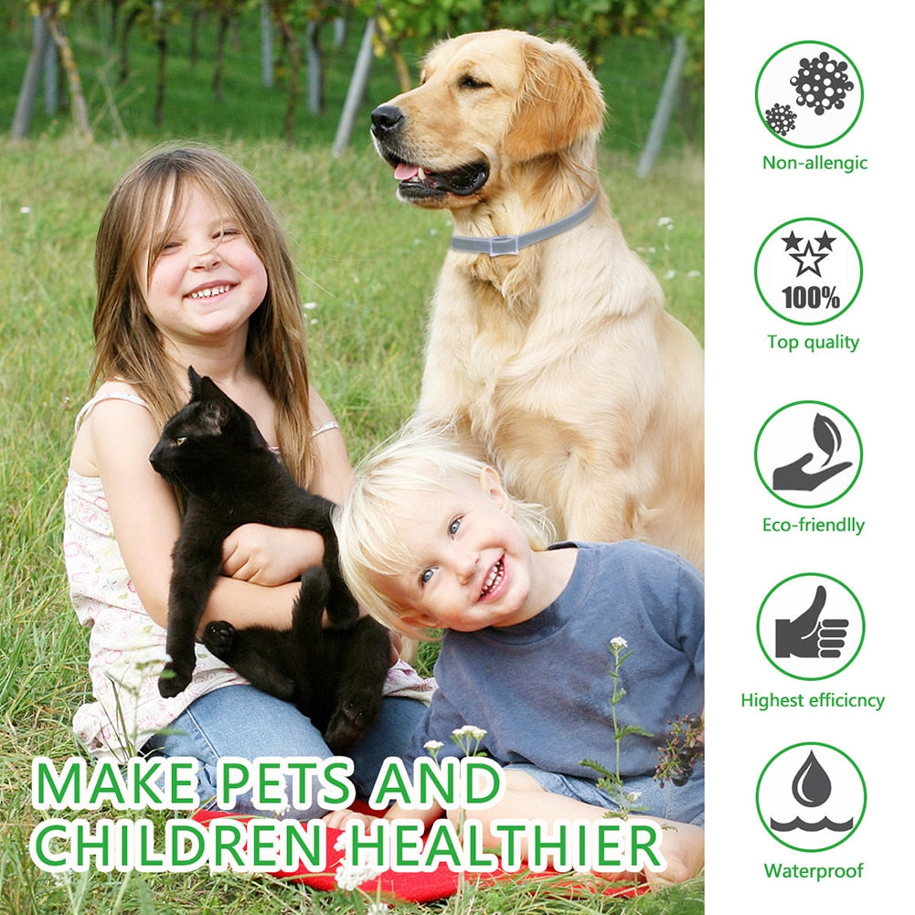 Anti Flea Mosquitoes Ticks Insect Collar