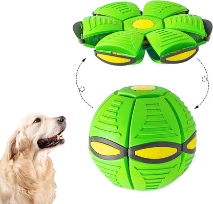 The Doggy Disc Ball