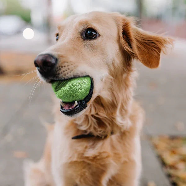 Automatic Pet Plush Ball